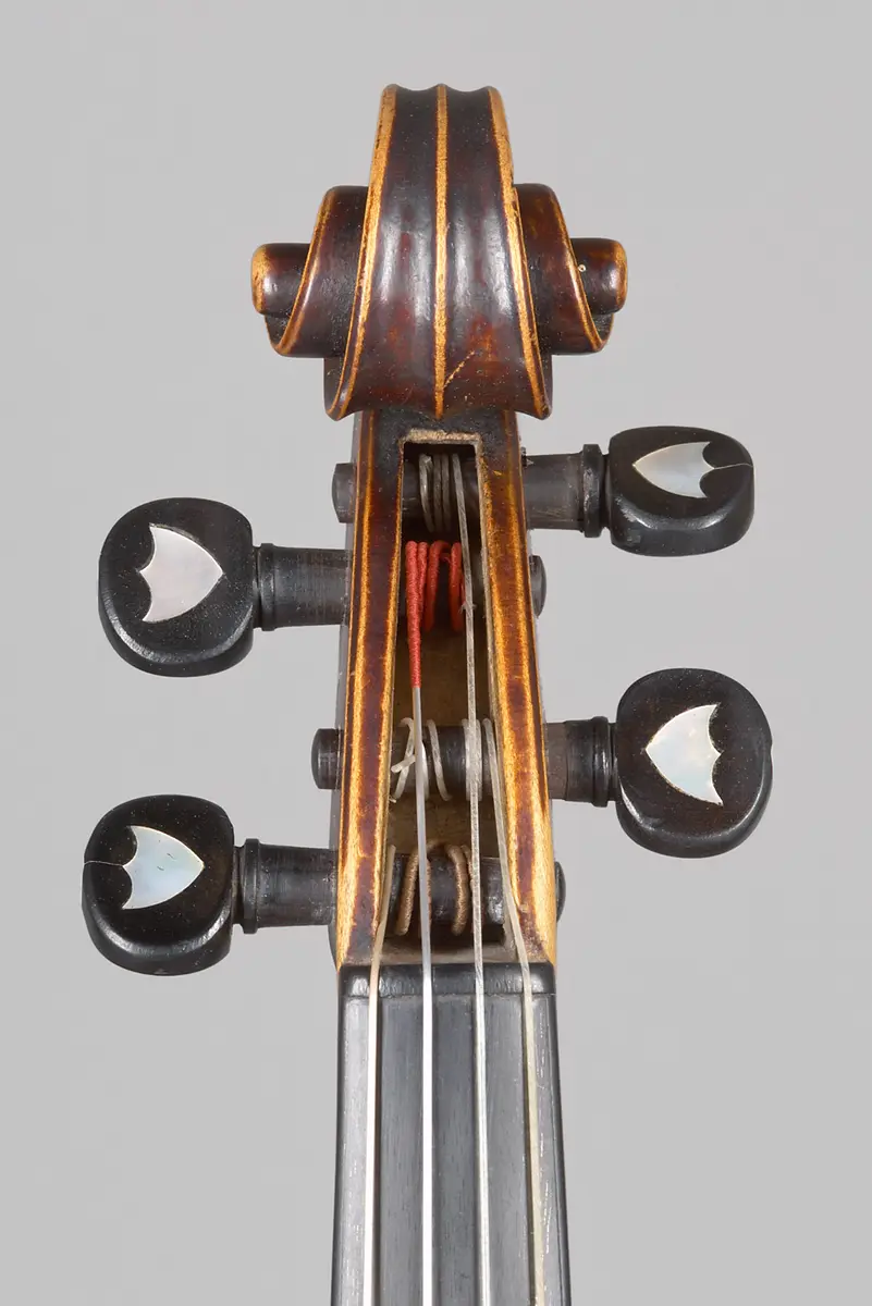 Violine
