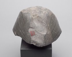 Head from a sphinx of Senwosret III 