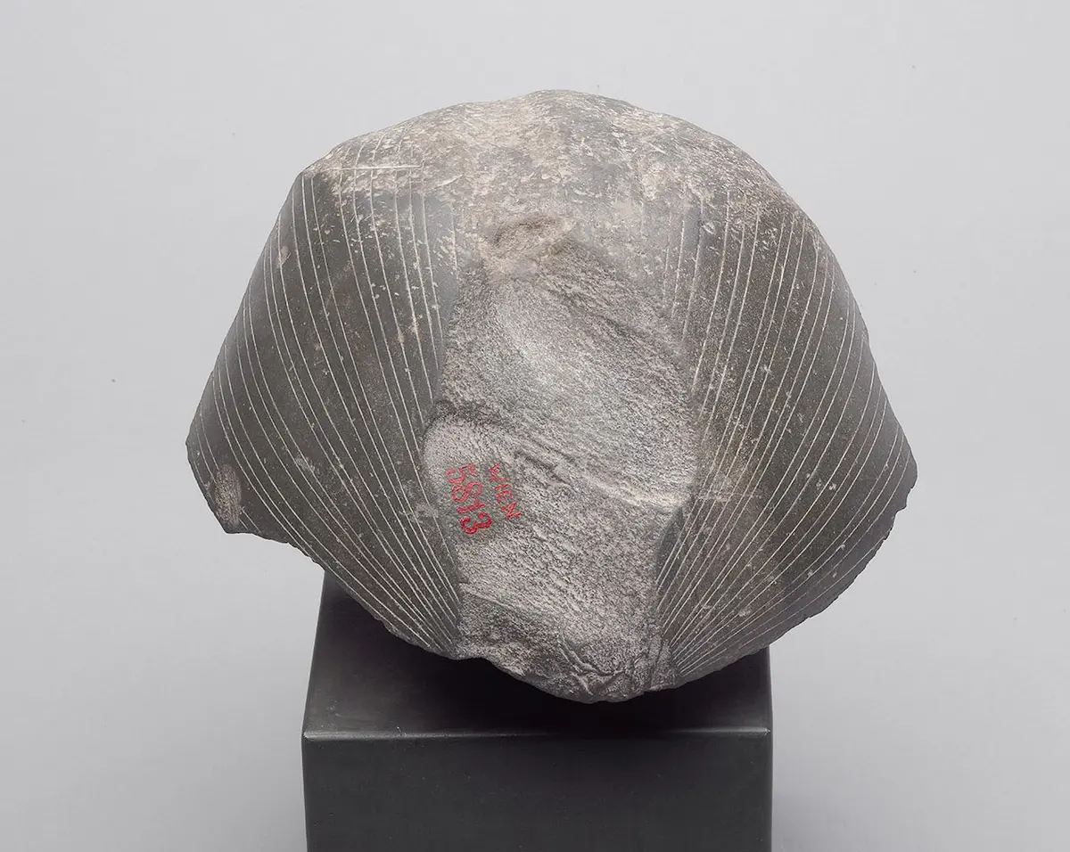 Head from a sphinx of Senwosret III 