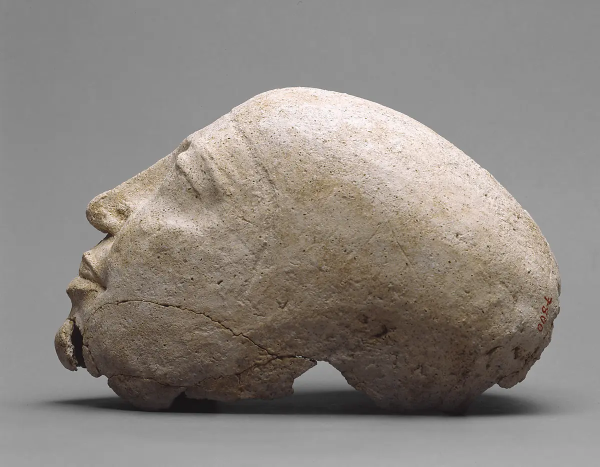 Stucküberzug von menschlichem Schädel und Fragmente der Körperhülle