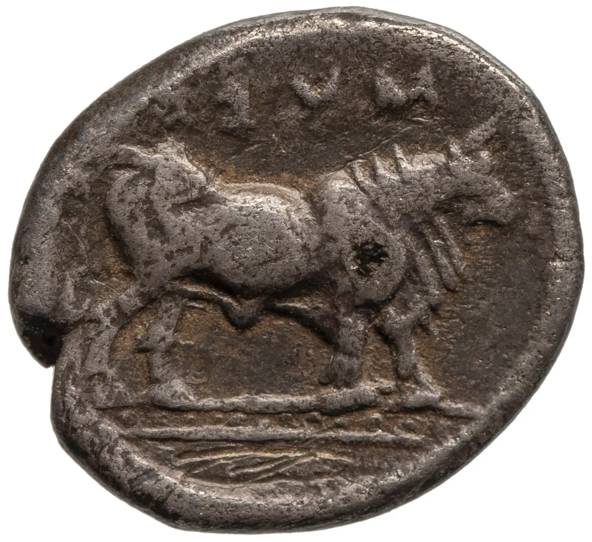 Sybaris