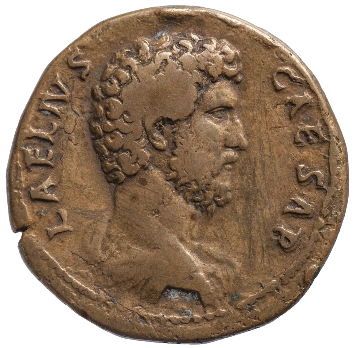 Lucius Aelius
