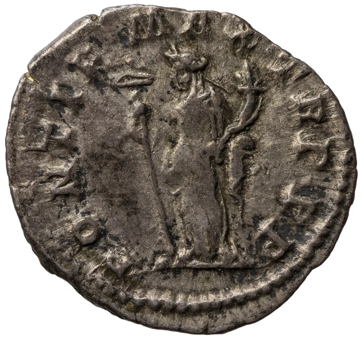 Macrinus