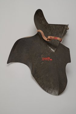 Großer Stechbart mit Flügelschraube
