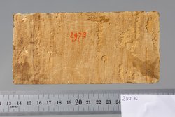 Fragment einer Mumienkartonage