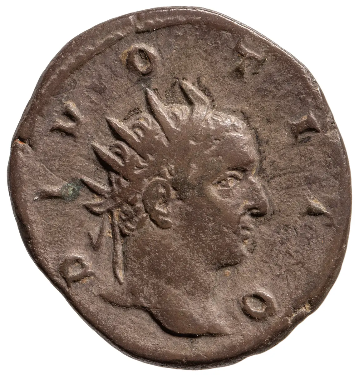 Divus Titus