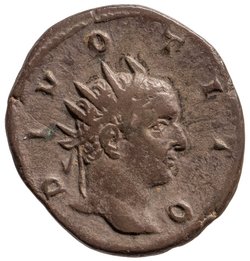 Divus Titus
