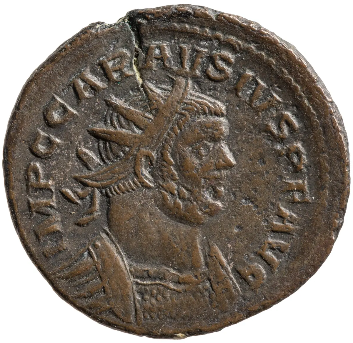 Carausius