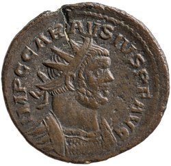 Carausius