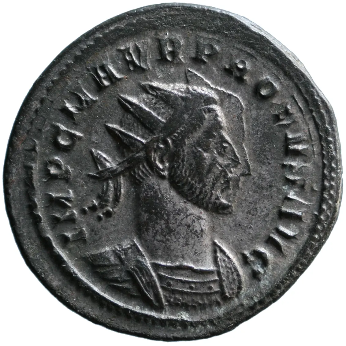 Probus