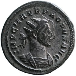 Probus