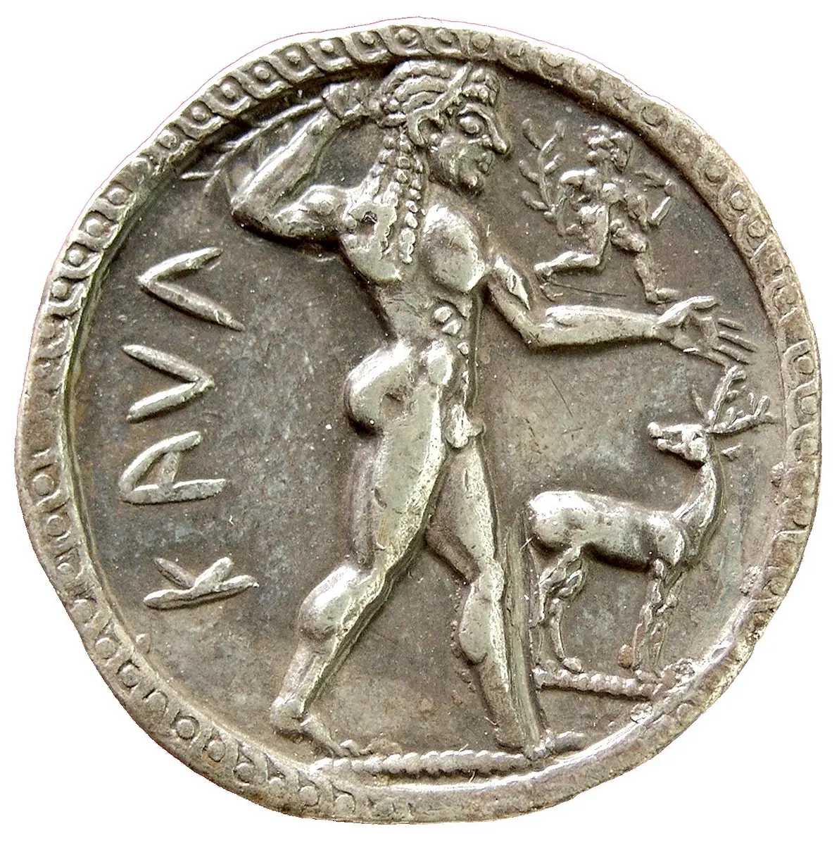Kaulonia