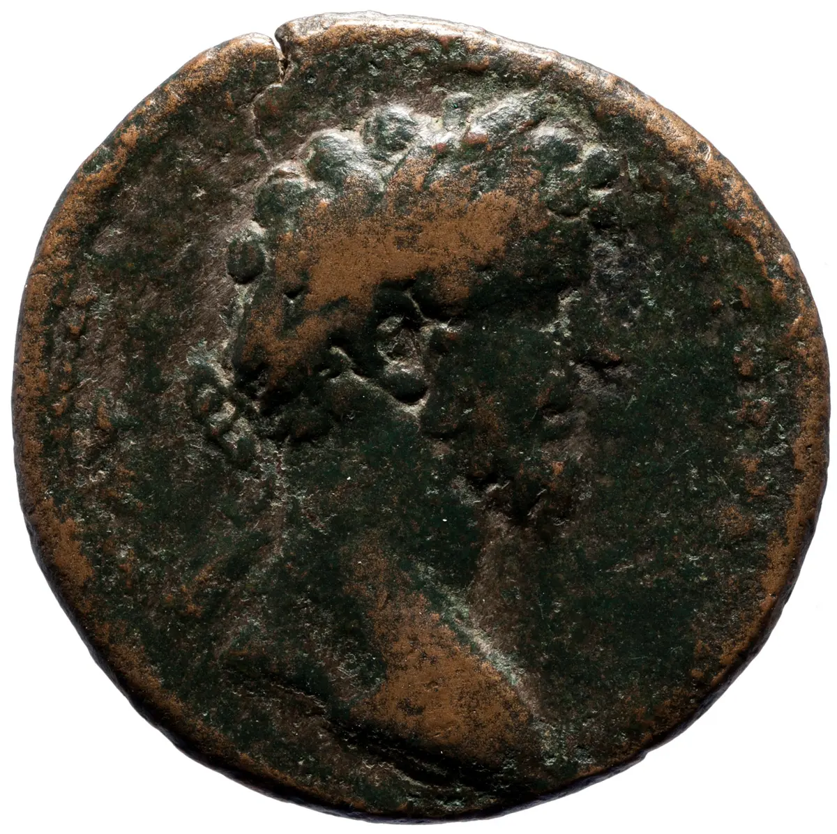 Orthosia: Marcus Aurelius