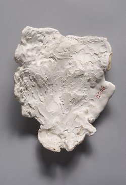Stucküberzug von menschlichem Schädel