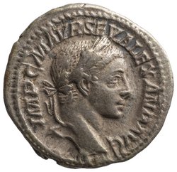 Severus Alexander