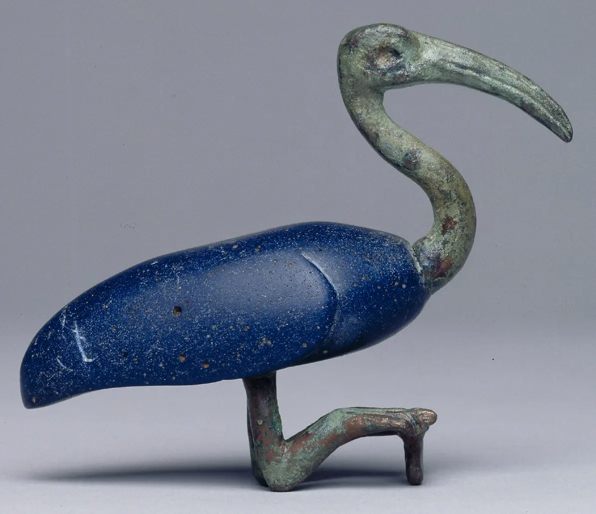 Sitzender Ibis