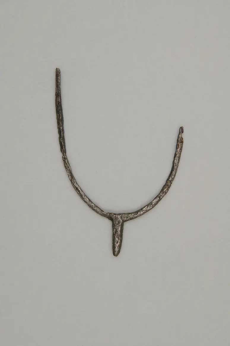 Stachelsporn
