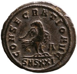 Divus Carus