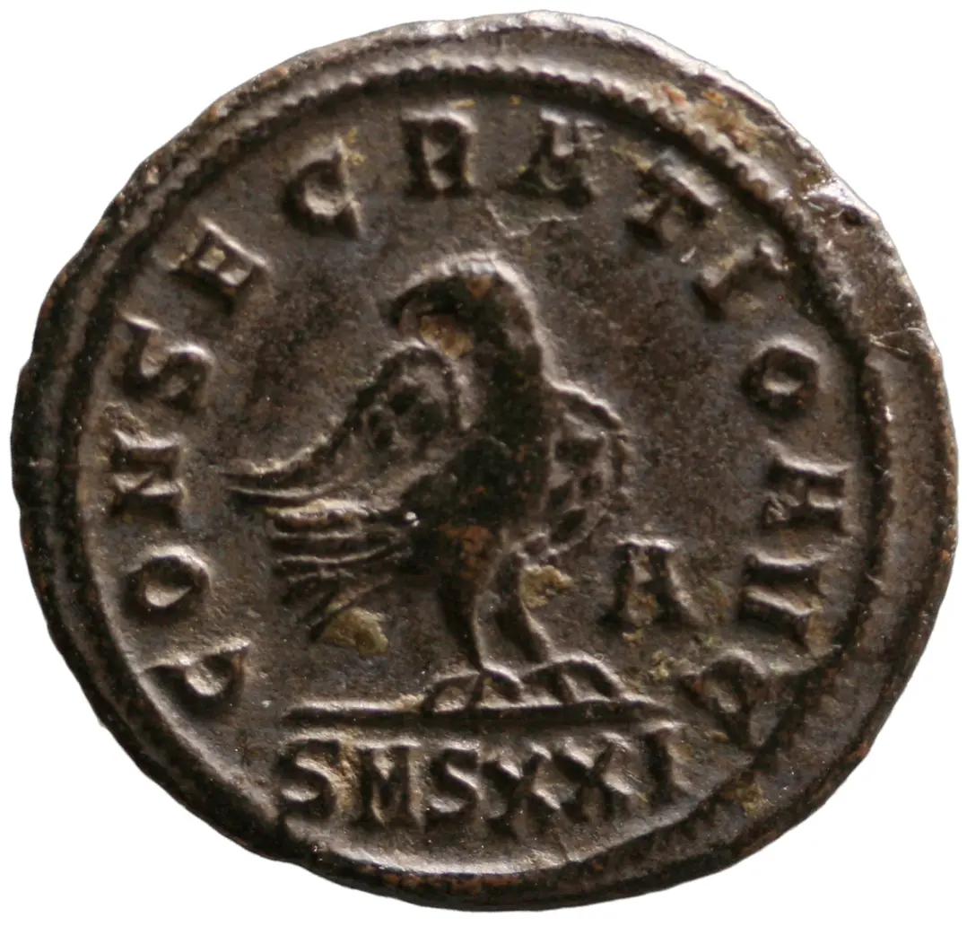 Divus Carus