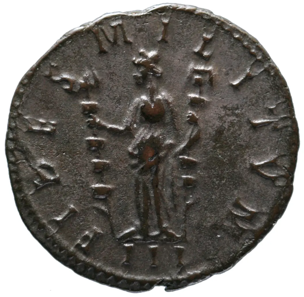 Probus