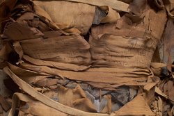 Unterteil des Kastensarges des An-em-her mit Mumie und Teilkartonage