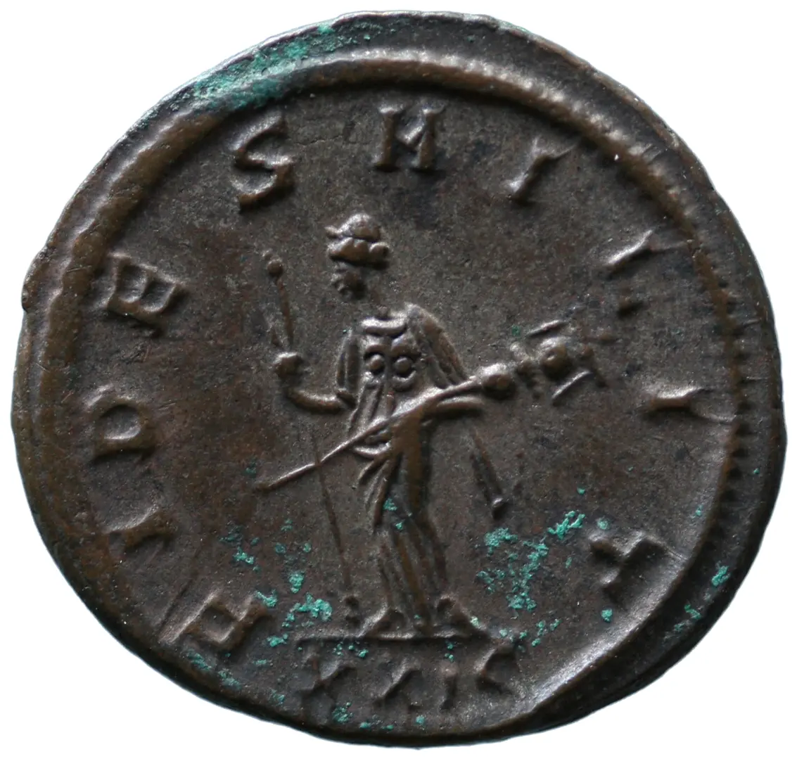 Probus
