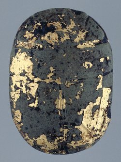 Herzskarabäus