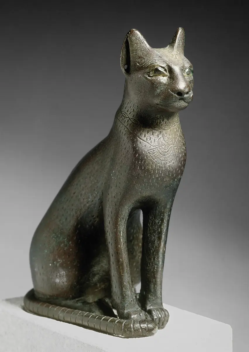 Sitzende Katze