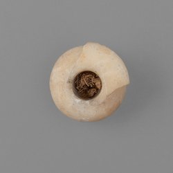 Kohl-Töpfchen mit Schminkstift
