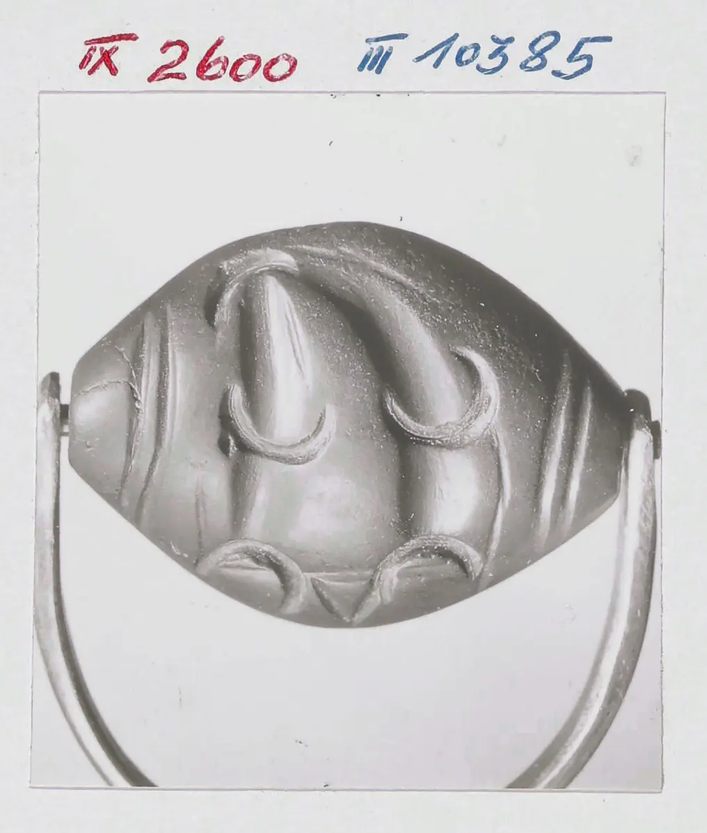 Fische in Reusenringen