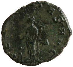 Salonina