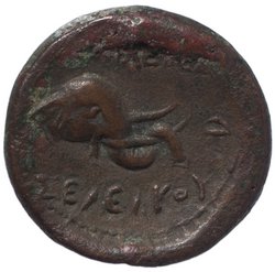 Seleukiden: Seleukos II.