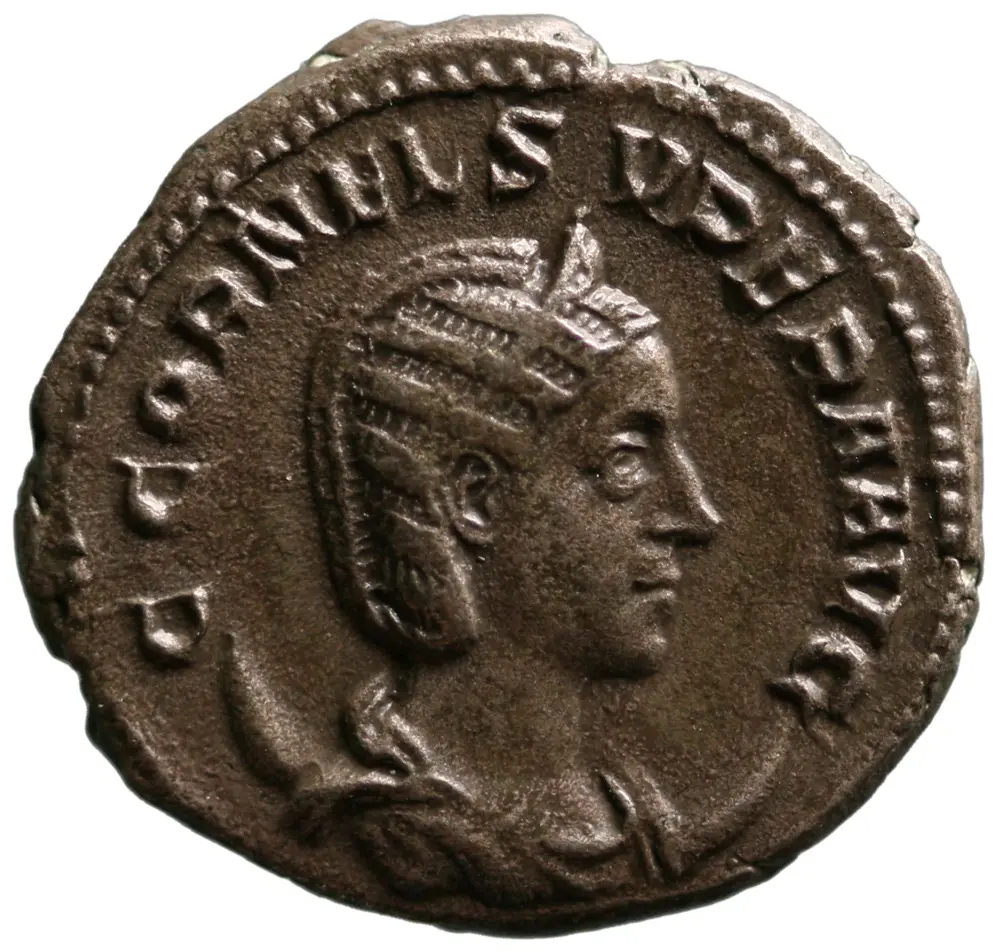 Cornelia Supera