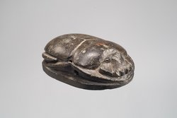 Herzskarabäus der Hausherrin Wer(...)