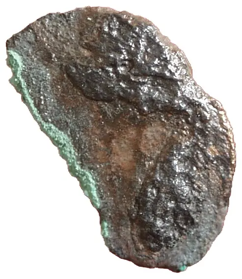 Maiorinenperiode