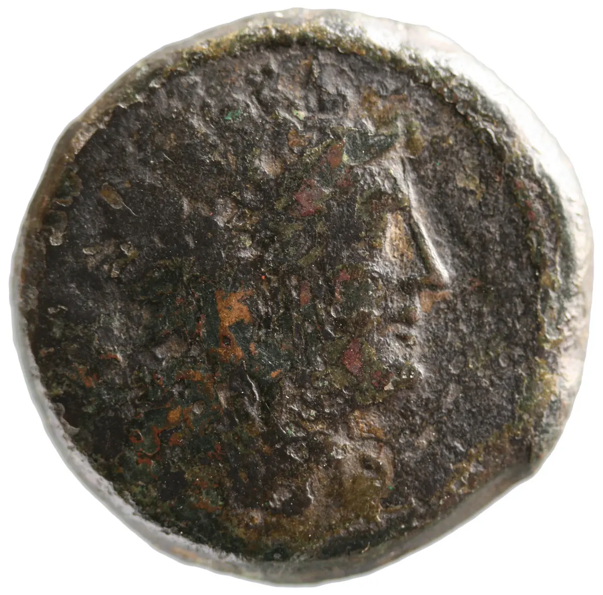 Venusia
