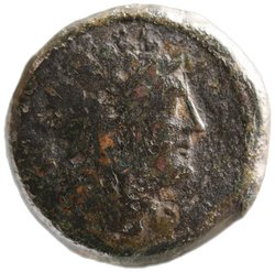 Venusia