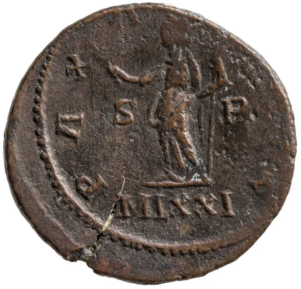 Carausius