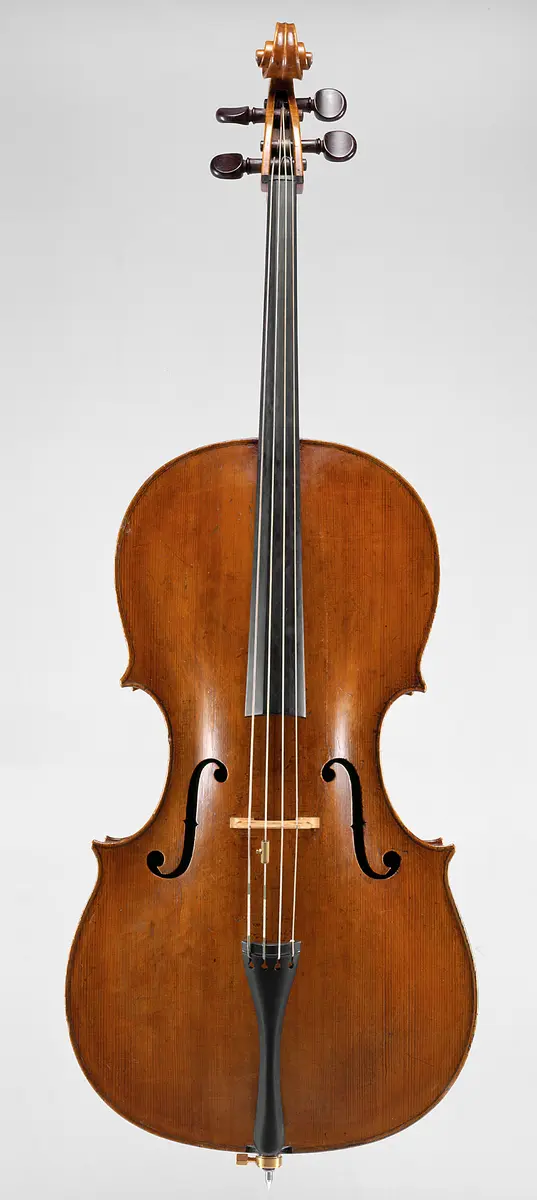 Violoncello