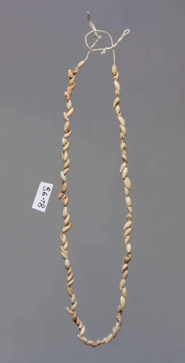 Kette aus kleinen Schneckenhäusern