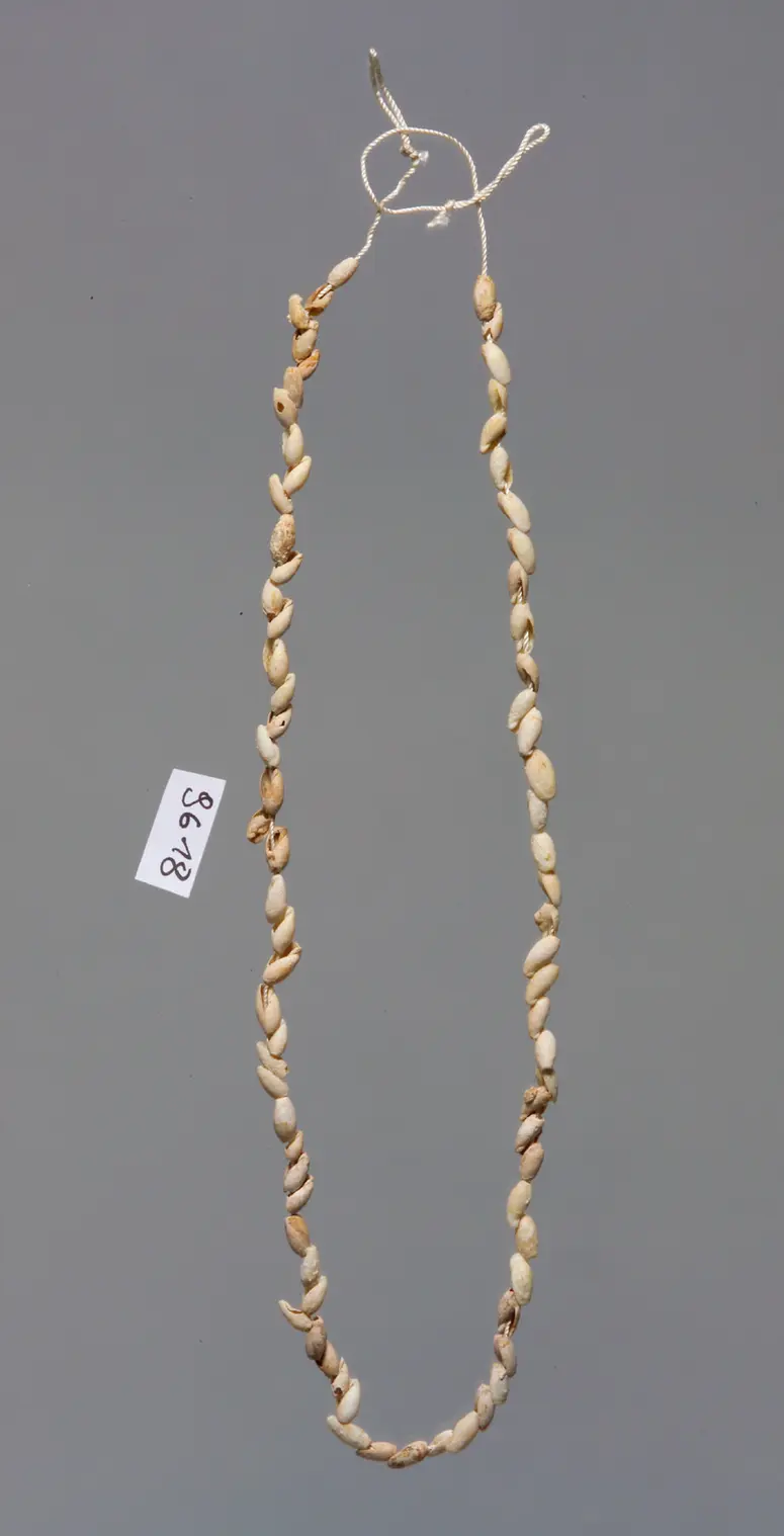 Kette aus kleinen Schneckenhäusern