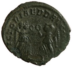 Constans