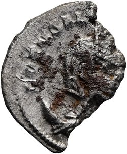 Salonina