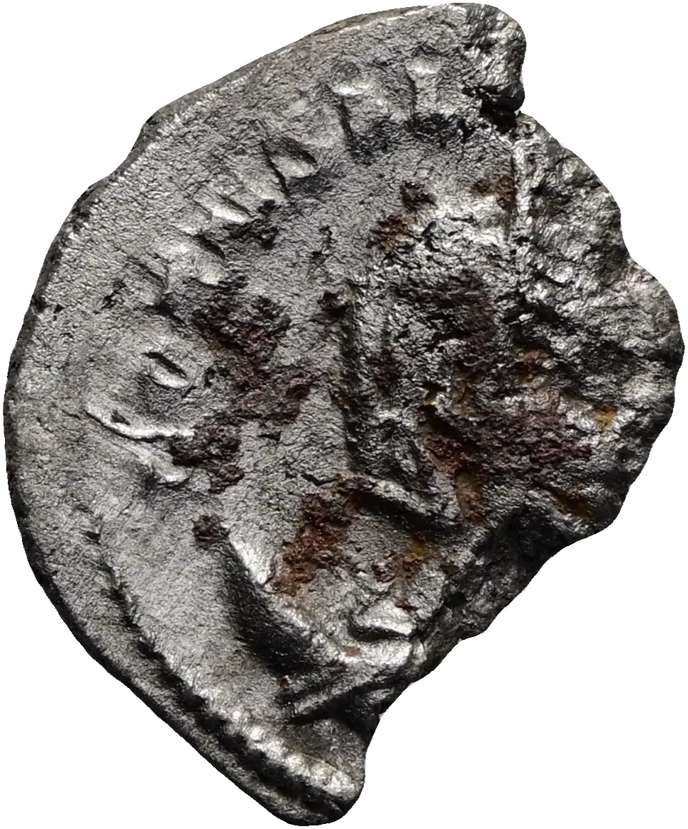 Salonina