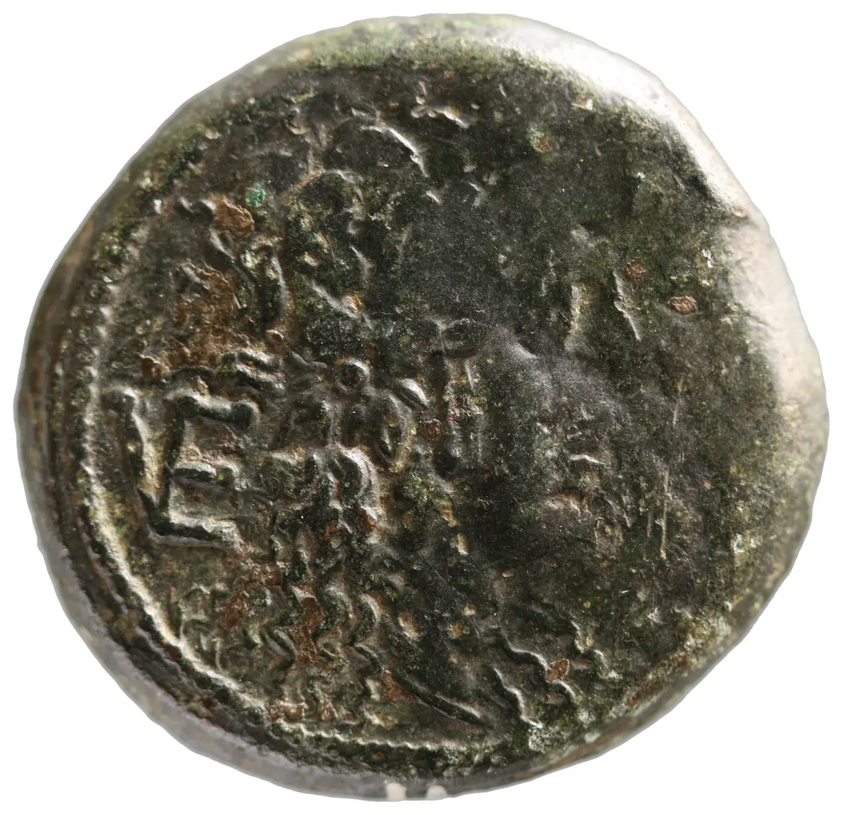 Venusia