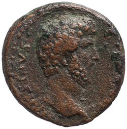 Lucius Aelius