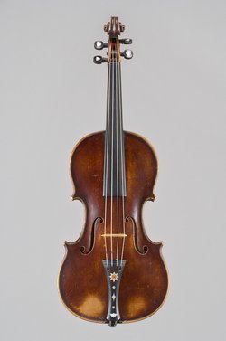 Violine