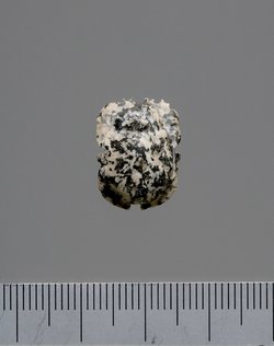 Mumienskarabäus