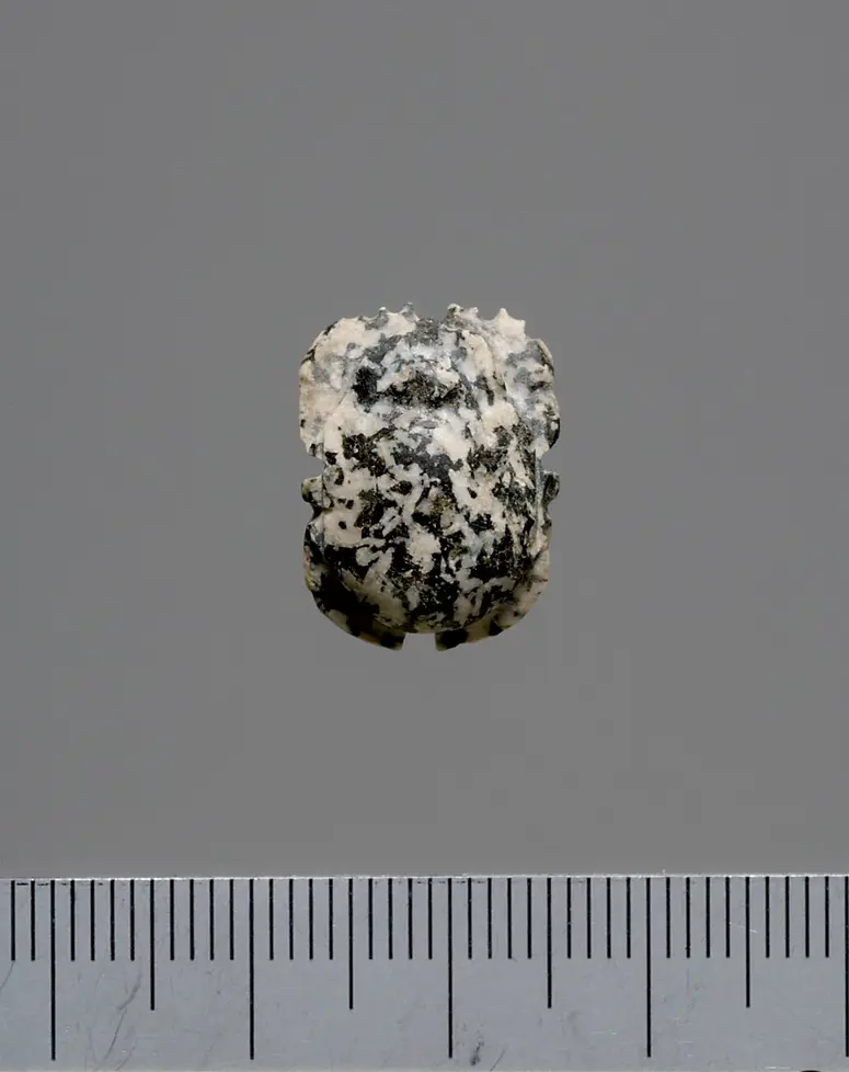 Mumienskarabäus