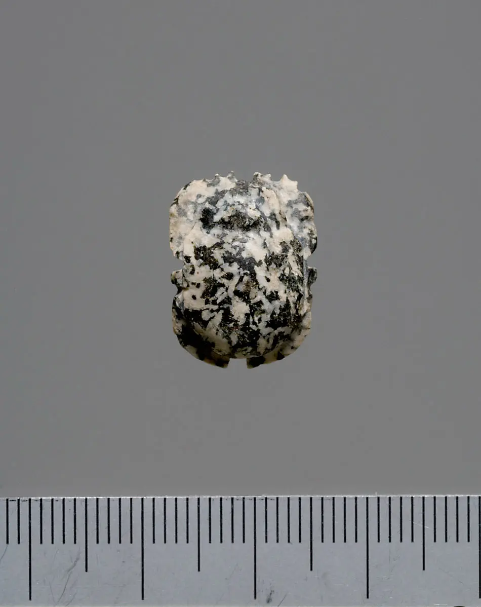 Mumienskarabäus
